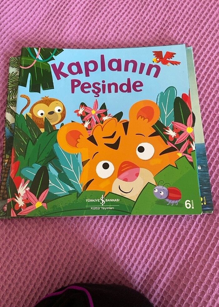 Utangaç ayı monti,kaplanın peşinde,bir kabuğu paylaşmak,minik sa - Görsel 5