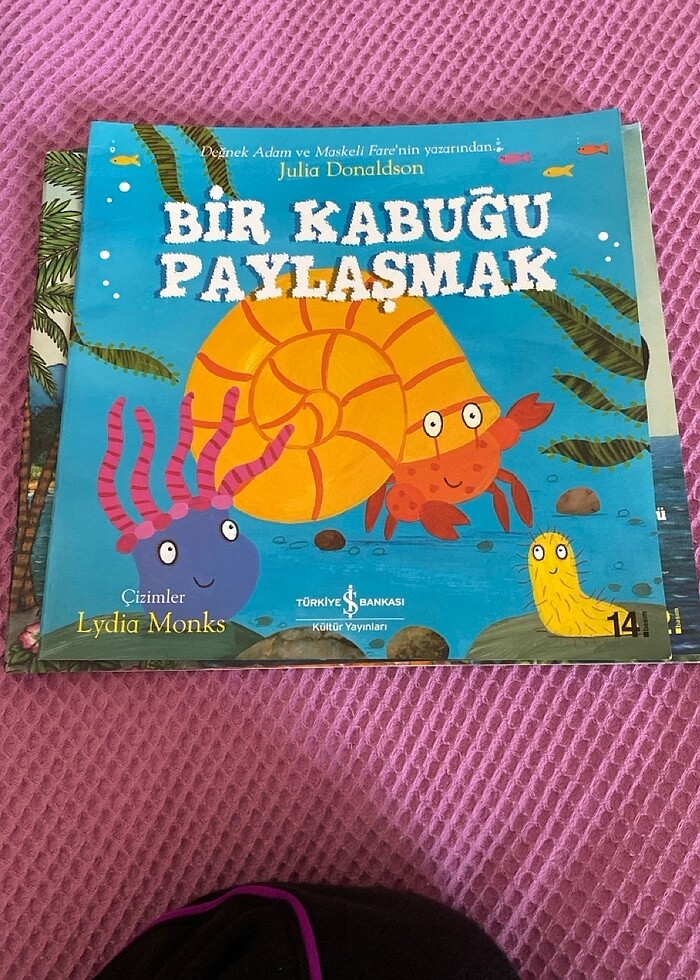 Utangaç ayı monti,kaplanın peşinde,bir kabuğu paylaşmak,minik sa - Görsel 4