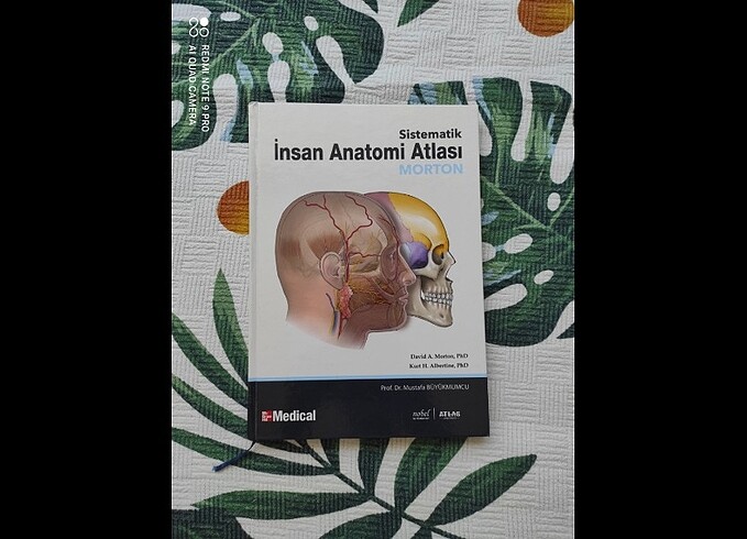 Sistematik insan anatomi atlası morton 