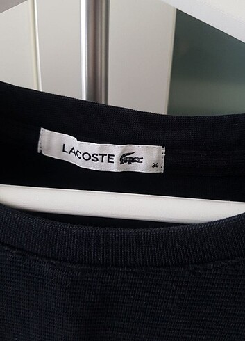 Lacoste Lacoste sweat