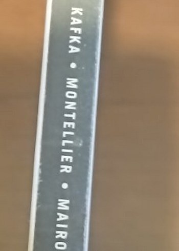 Franz Kafka - Dava Romanı - Görsel 3