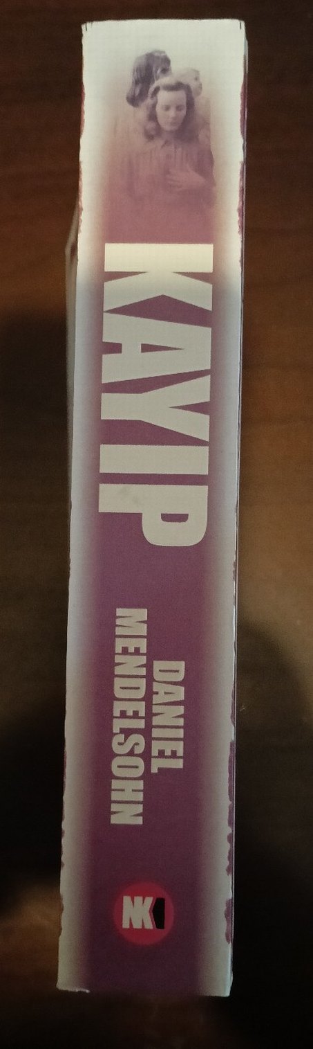 Kayıp - Daniel Mendelsohn - Görsel 2