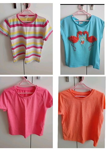 U.S Polo Assn. 8 Yaş