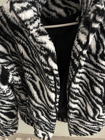 Jimmy Key Zebra desenli kaban ceket