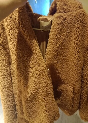 Teddy mont