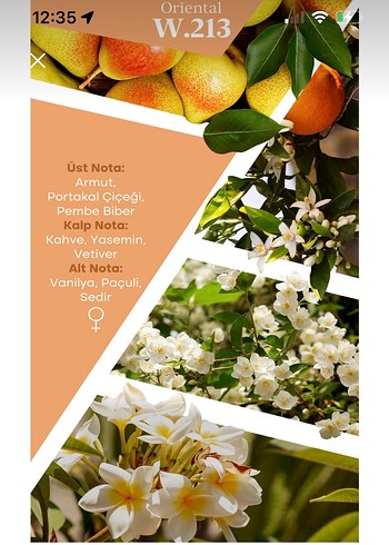 Mad Kadın Parfümü w213 - Görsel 2