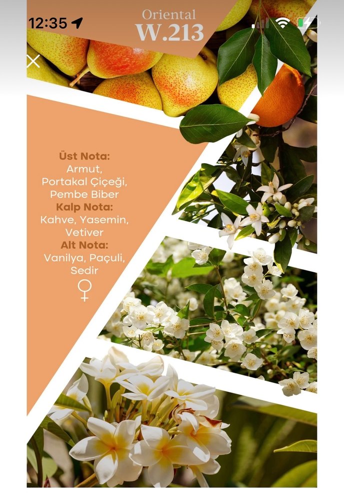 Mad Kadın Parfümü w213 - Görsel 2