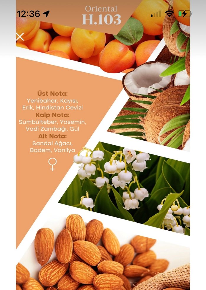 MAD Kadın Parfümü H103 - Görsel 2