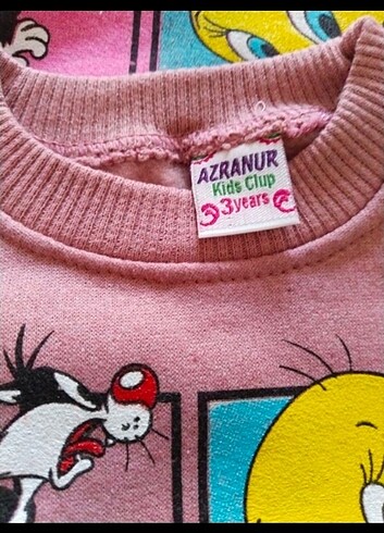 9-12 Ay Beden pembe Renk Kız çocuk sweatshirt