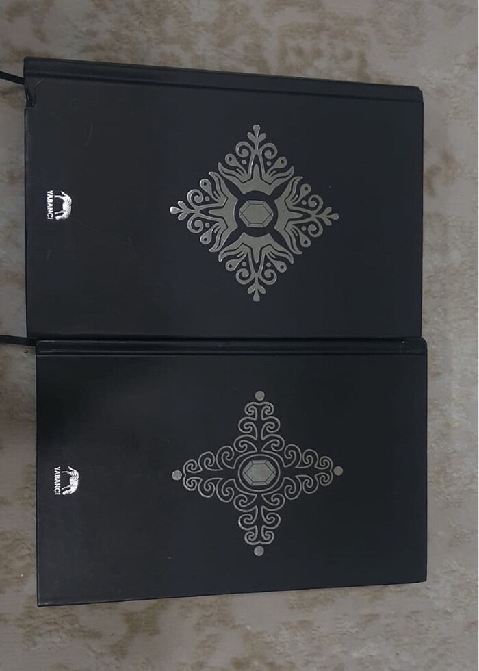 ADRIENNE YOUNG fable serisi - Görsel 2