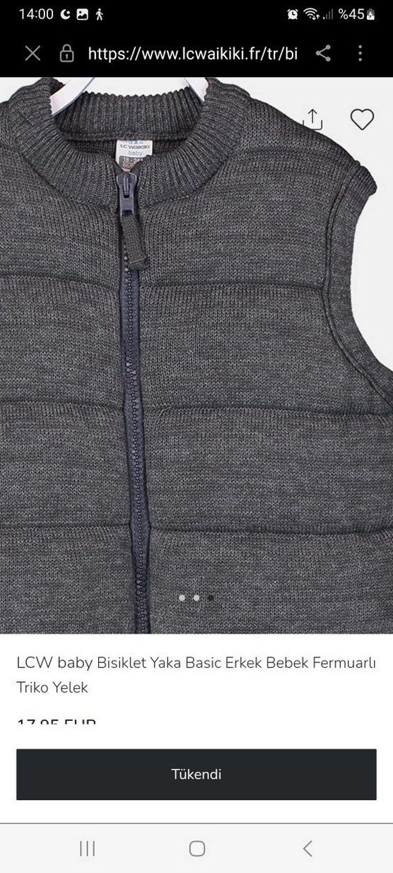 LCW Baby Gri Triko Fermuarlı Erkek Bebek Yelek - Görsel 3