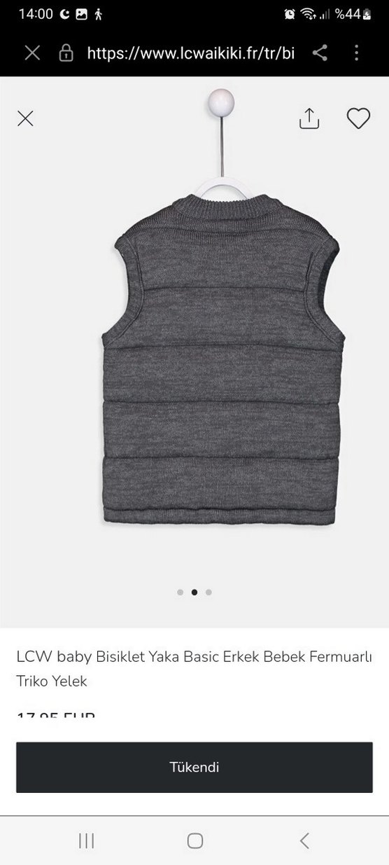 LCW Baby Gri Triko Fermuarlı Erkek Bebek Yelek - Görsel 2