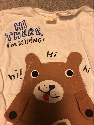 24-36 Ay Beden çeşitli Renk Zara uzun kollu tshirt