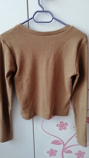 BGN Crop 