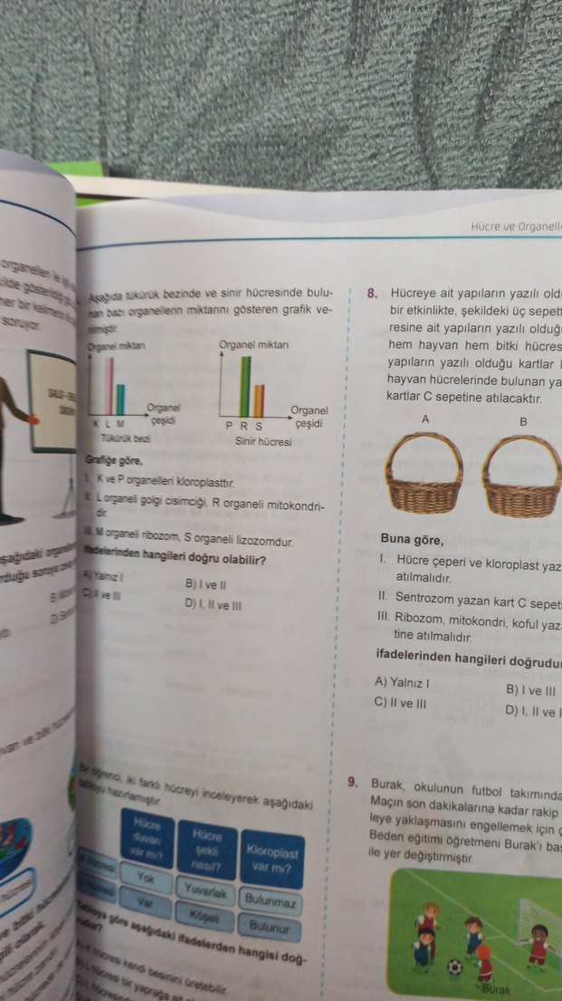 5. Sınıf Hiper Fen Bilimleri Konu Anlatımlı Soru Bankası - Görsel 3