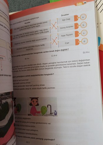 5. Sınıf Bal Türkçe Soru Bankası - Görsel 4