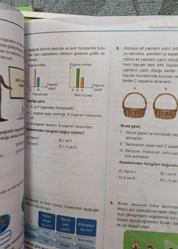 5. Sınıf Hiper Fen Bilimleri Konu Anlatımlı Kitap - Görsel 7