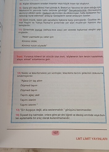 Cumhuriyet dönemi Türk edebiyati kitabı  - Görsel 2
