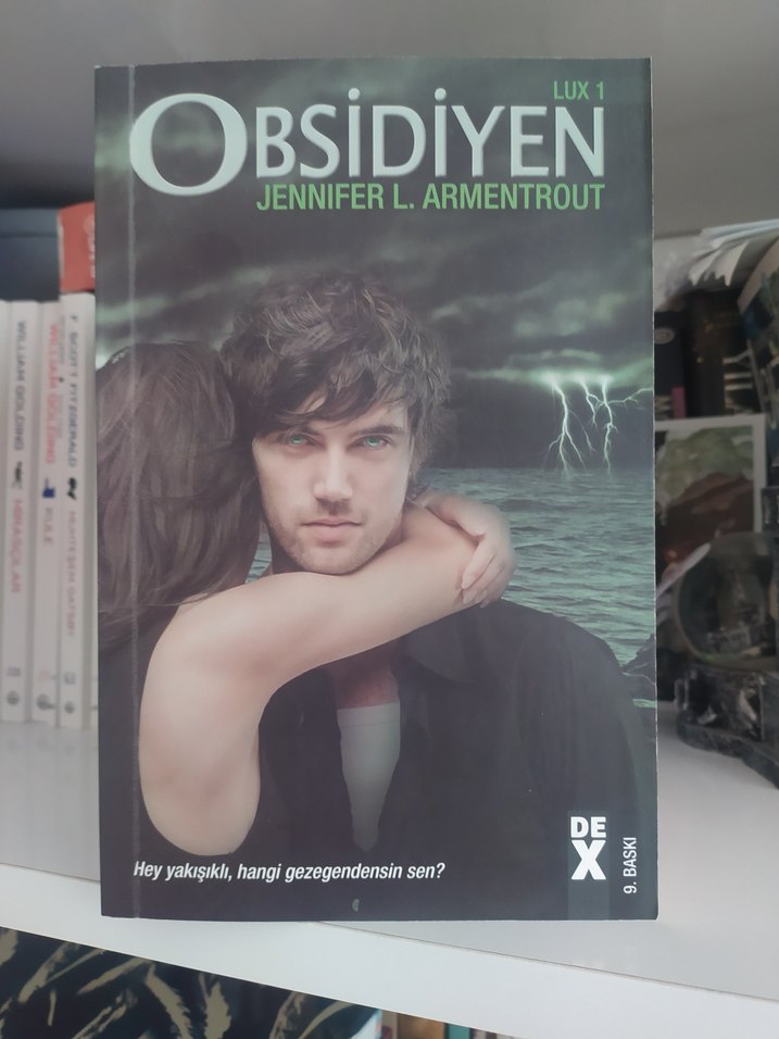 Jennifer L. Armentrout - Lux Serisi - Görsel 2