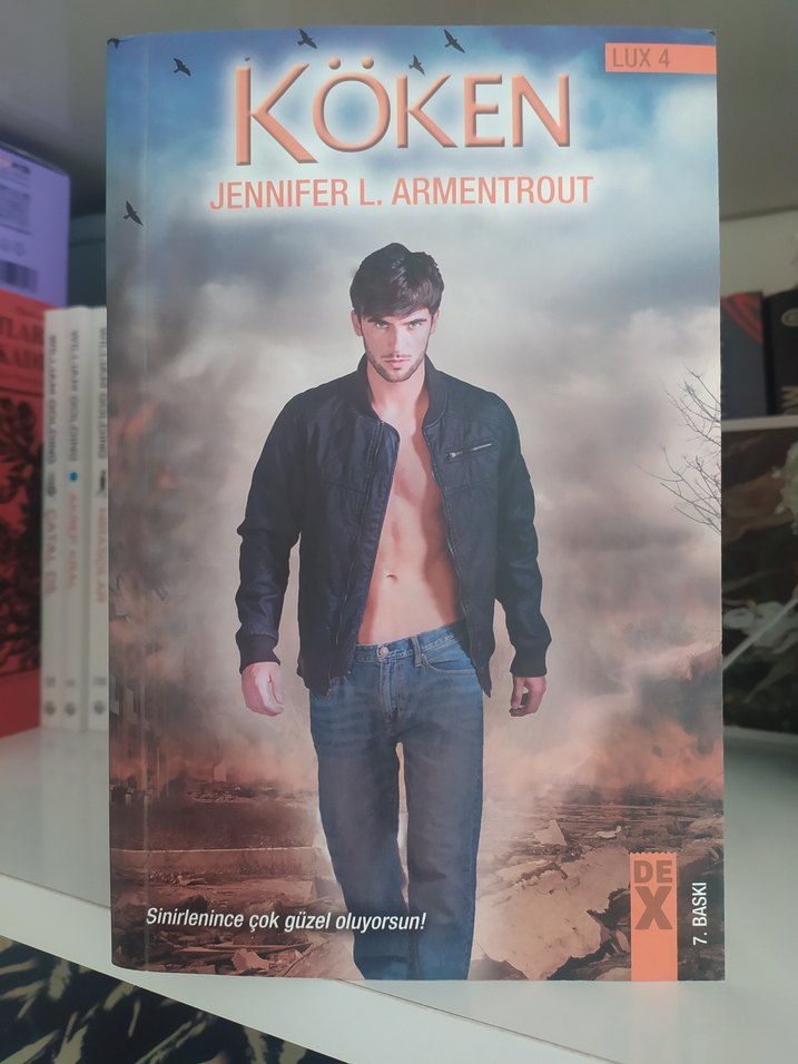Jennifer L. Armentrout - Lux Serisi - Görsel 5