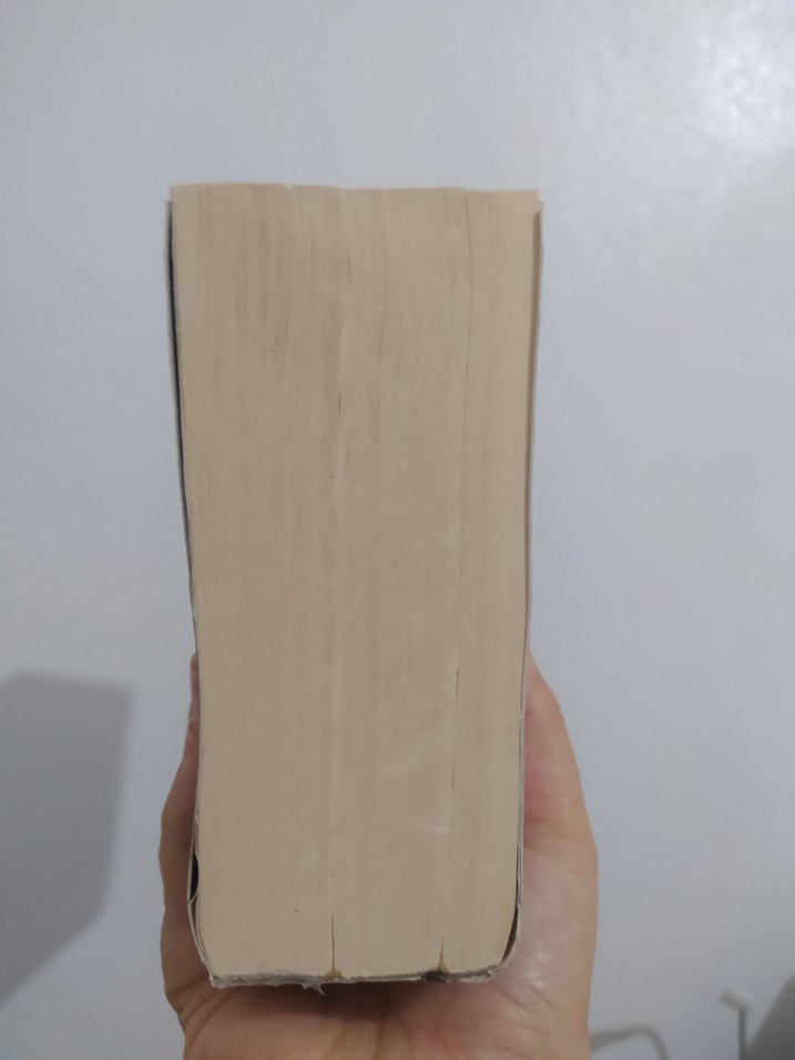 Demir Alev - Rebecca Yarros - Görsel 5