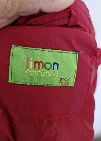 Limon Company Limon bordo mont 