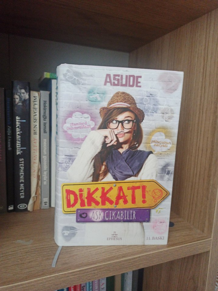 Roman kitap ciltli  ephasus yayınları. Dikkat! Aşk Çıkabilir - Görsel 2