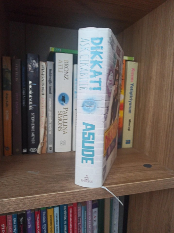 Roman kitap ciltli  ephasus yayınları. Dikkat! Aşk Çıkabilir - Görsel 3