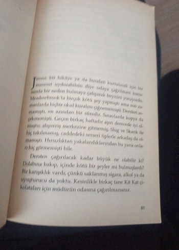 Yüreğimdeki Aşk Kıvılcımı - Beyin Okuyan - Dudak Payı - Görsel 5