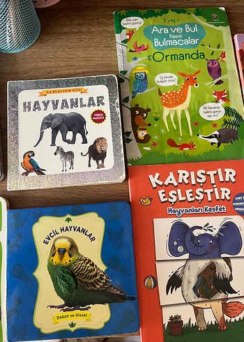 Beden Ormanda Çocuklar İçin Resimli Bulmacalar ve Hikayeler