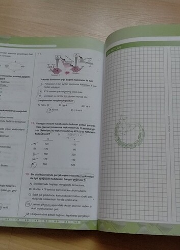 Palme yayınları Test kitabı  - Görsel 7