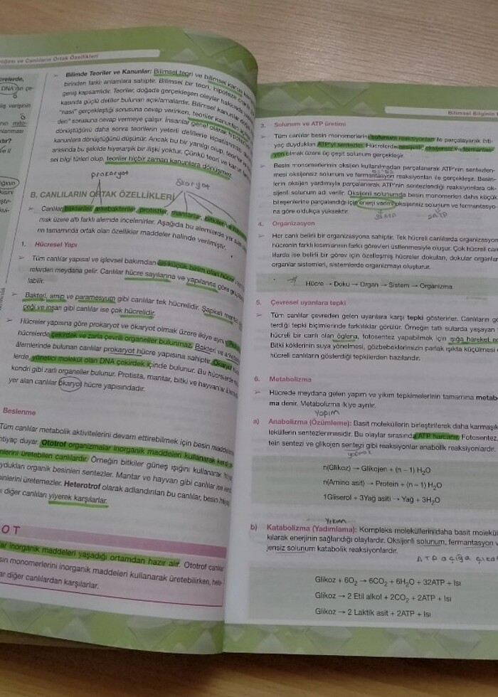 Palme yayınları Test kitabı  - Görsel 4