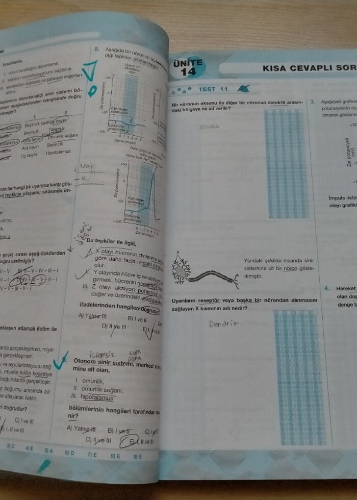 Palme yayınları Biyoloji test kitabı  - Görsel 4