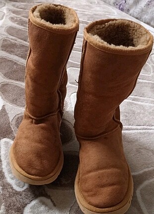 UGG bot.