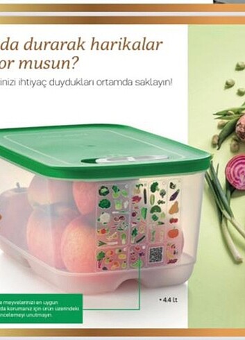 Tupperware sera 4 lt saklama kabı