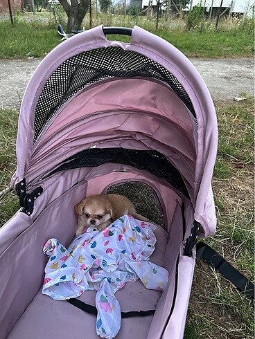  Beden Renk Köpek kedi arabası