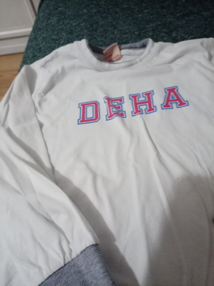 DEHA Baskılı Erkek Çocuk Sweatshirt - Görsel 4