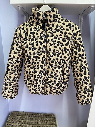 Leopar mont
