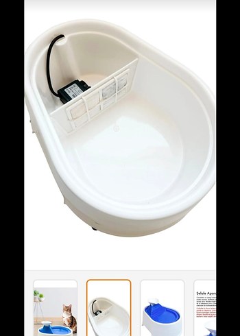 Beyaz Renkli Kedi Su Pınarı - Görsel 6