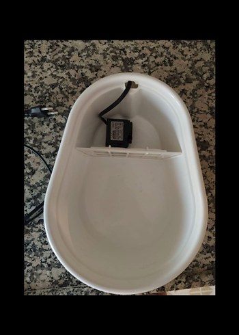 Beyaz Renkli Kedi Su Pınarı - Görsel 5