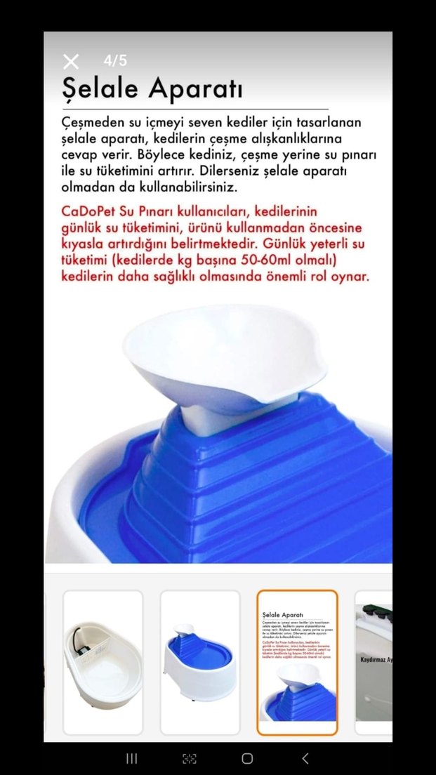 Beyaz Renkli Kedi Su Pınarı - Görsel 2