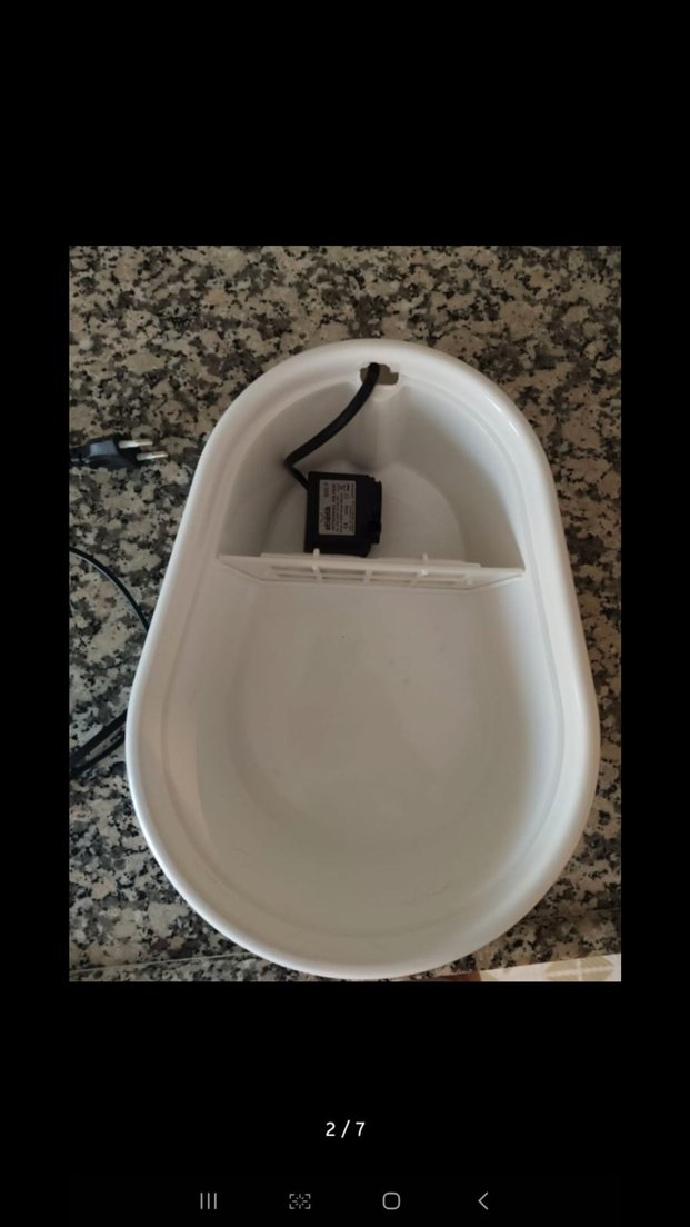 Beyaz Renkli Kedi Su Pınarı - Görsel 5