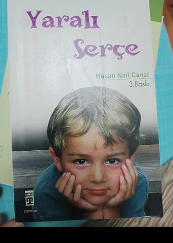 Hasan Nail Canat - Yaralı Serçe Kitabı