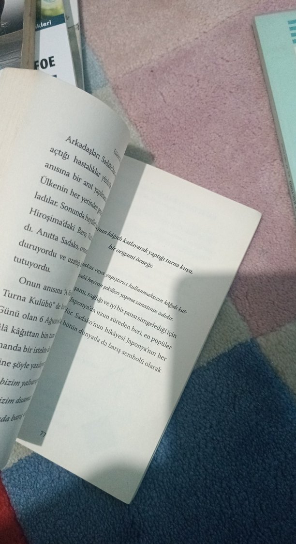 Sadako ve Kağıttan Bin Turna Kuşu - Eleanor Coerr - Görsel 3