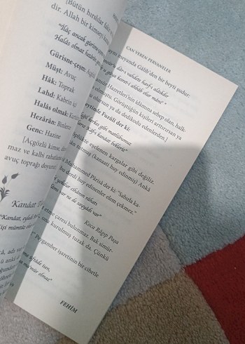 Can Veren Pervaneler - Hayati İnanç - Görsel 3