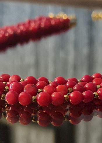 Gerçek Mercan ve Hematit Kolye - Görsel 5