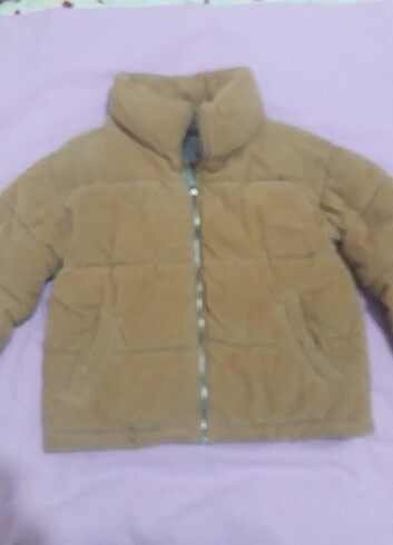 Temiz mont
