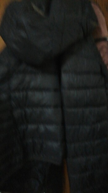 Siyah mont