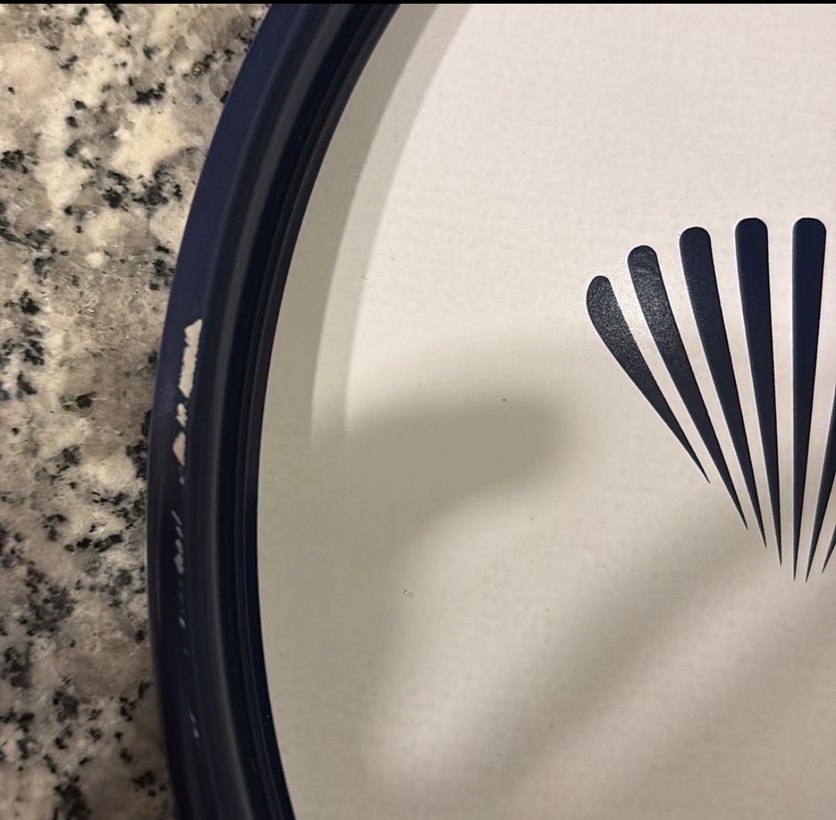 Beyaz Üzerinde Siyah Deniz Kabuğu Desenli Tepsi - Görsel 2