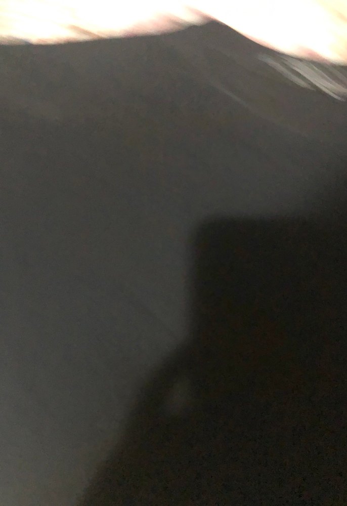 Zebra Desenli Kısa Kollu bluz - Görsel 3